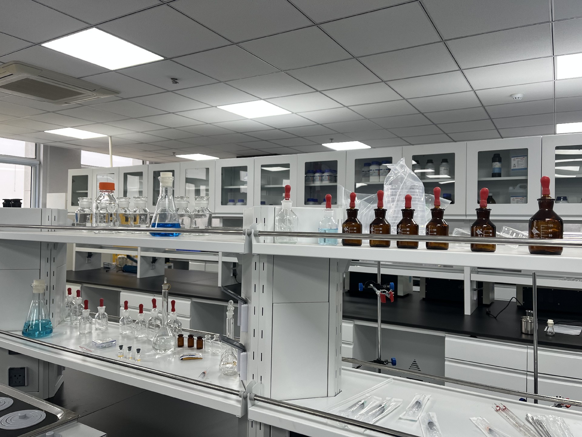 1682576855205661.jpg 實驗室家6.jpg